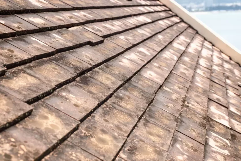 How to Remove Mold from Roof Shingles