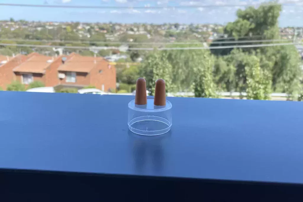 How to Clean Silicone & Foam Earplugs Cleaney